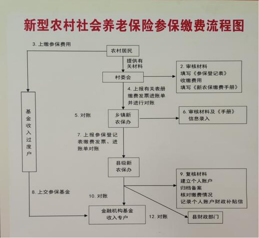 遂宁农村医保和社保有什么区别(农村医保跟社保的区别)